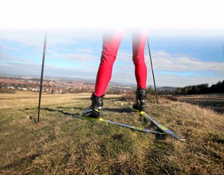 Die Ski-Orientierungsläufer warten dringend auf Schnee.