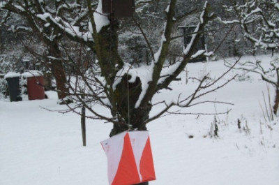 Verschneiter OL-Posten