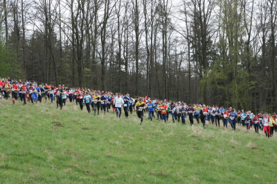 Massenstart zur Ultralang
