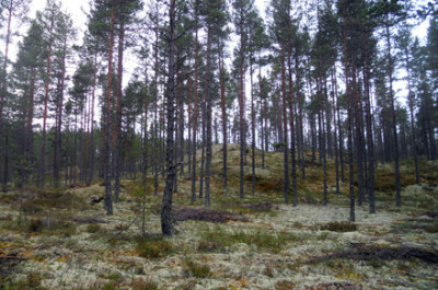 Gelände Hökberg Arena