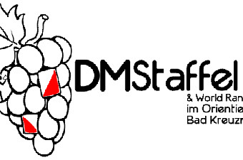 Logo DM-Staffel 2012