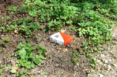 Festposten im Orientierungslauf