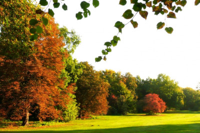 Wettkampfgelände DM im Oktober