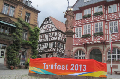 Turnfest 2013