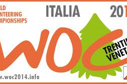 Logo WM 2014