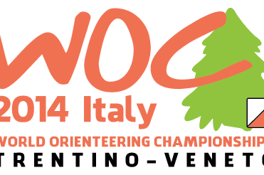 Logo WM 2014