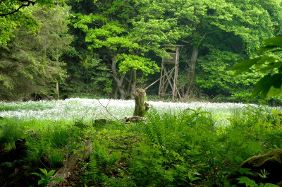 Idyllische Impression aus dem Wettkampfgelände