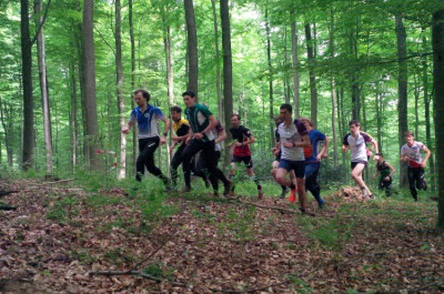 Start Crosstest