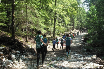 1. Einheit: Posten in die Hand und los – steinige Wege und feingliedriger Wald