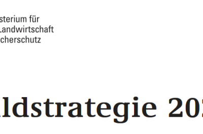 Waldstrategie 2020