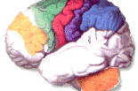 news_1_109.gif