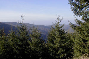 Der  Harz - es könnte steil werden...