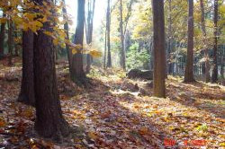 die Herbstsaison hat begonnen