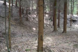 das Wettkampfgelände