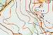 news_1_75.gif