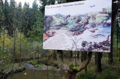 Der Röthenbach - Naturnaher Bachlauf.