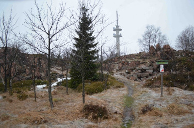 SkiO-/MBO-Festposten bei Altenberg, Osterzgebirge – Ausbau des deutsch-tschechischen Projektes?