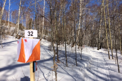 Nur geringe Schneeauflage in halboffenen Birkenwäldern - typische Verhältnisse für Sibirien.