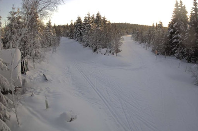 Blick auf die Kammloipe