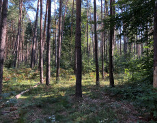 Gelaende 1