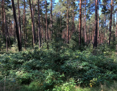 Gelaende 4