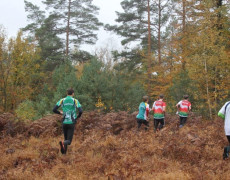 Staffelstarts im Wald